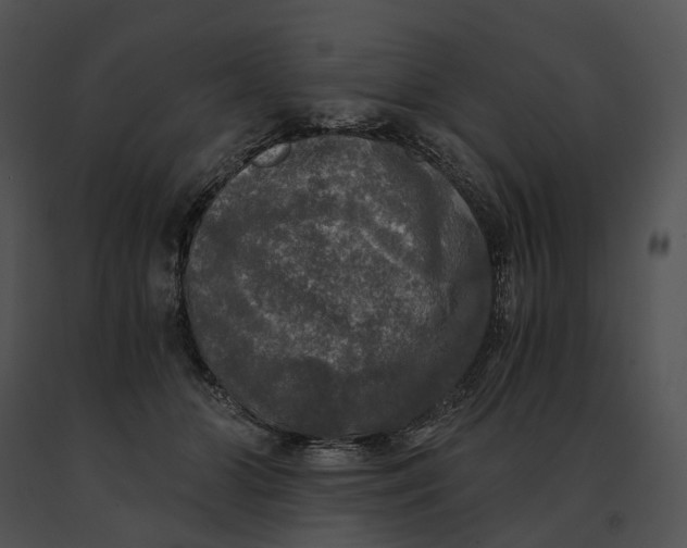 X0000091200510200708301603