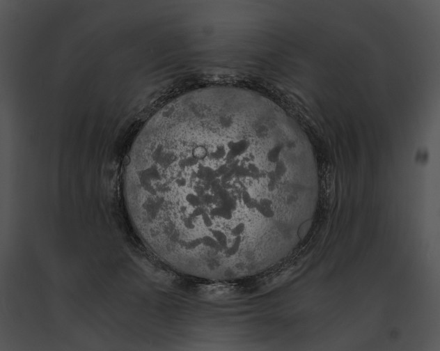 X0000091200511200708301603