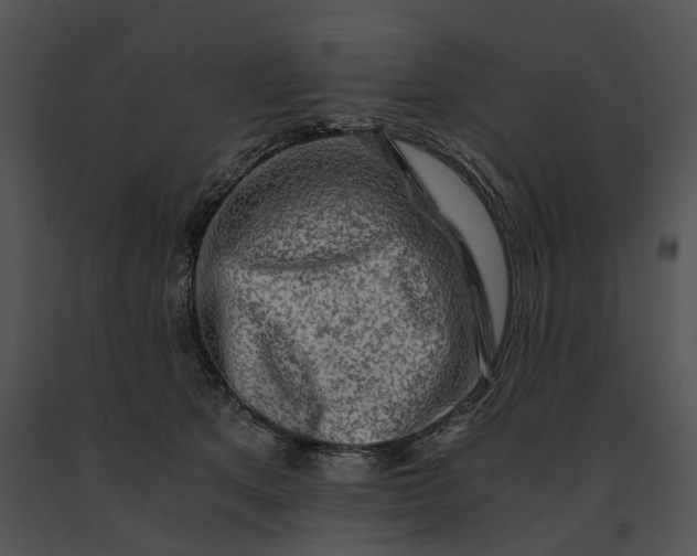 X0000091200513200708301603