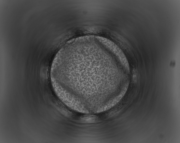 X0000091200514200708301603