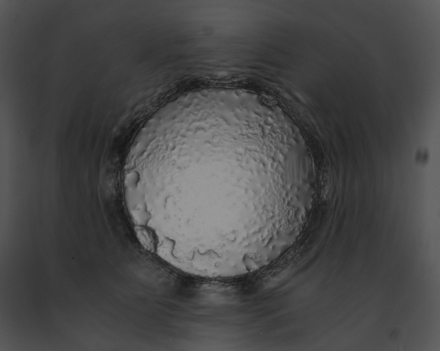 X0000091200515200708301603