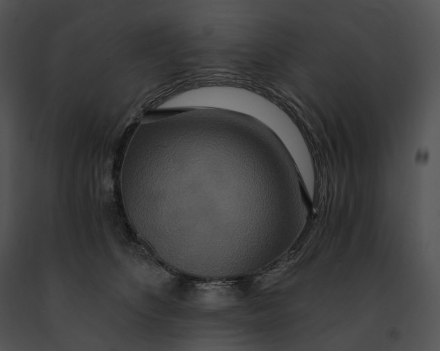 X0000091200516200708301603