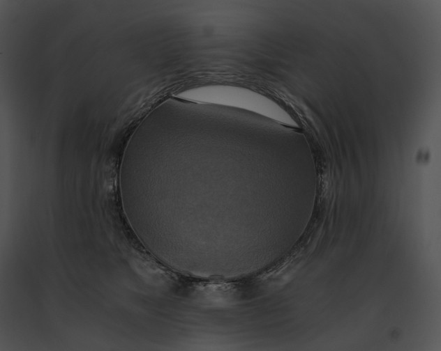 X0000091200517200708301603