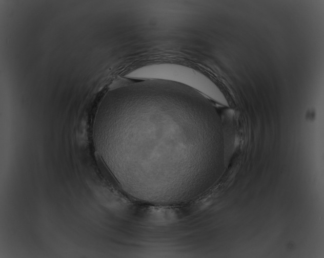 X0000091200520200708301603