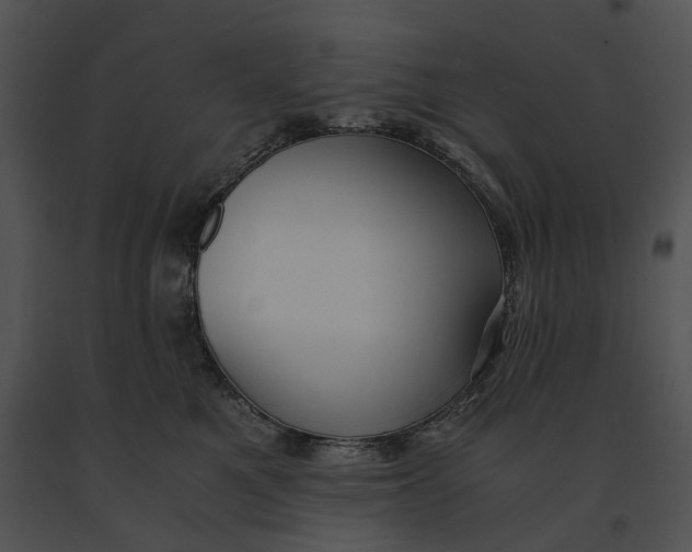 X0000091200521200708301603