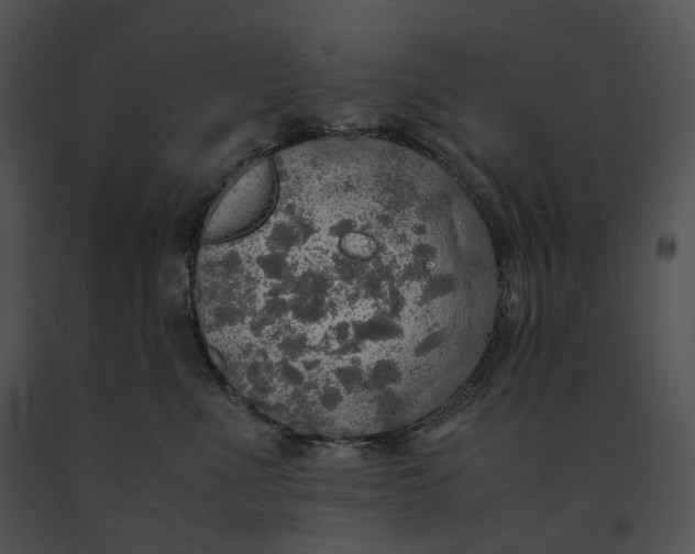 X0000091200523200708301603