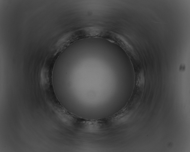 X0000091200524200708301603