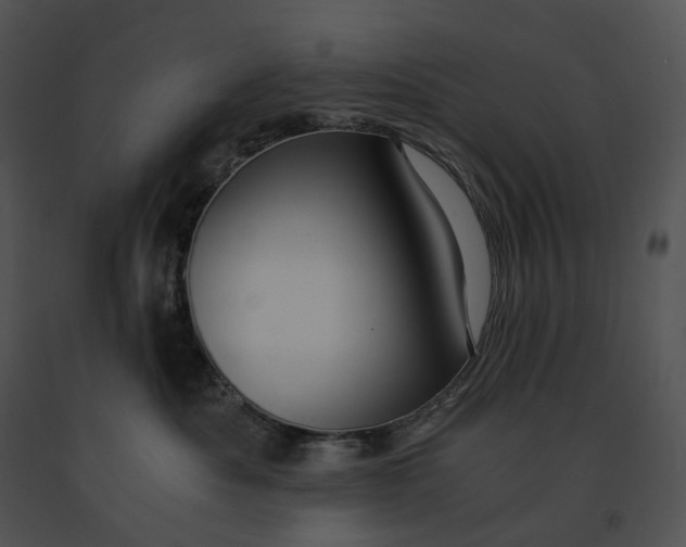 X0000091200525200708301603