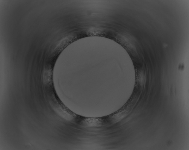 X0000091200526200708301603