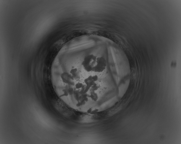 X0000091200527200708301603