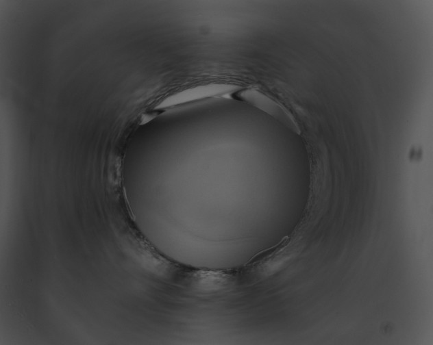 X0000091200528200708301603