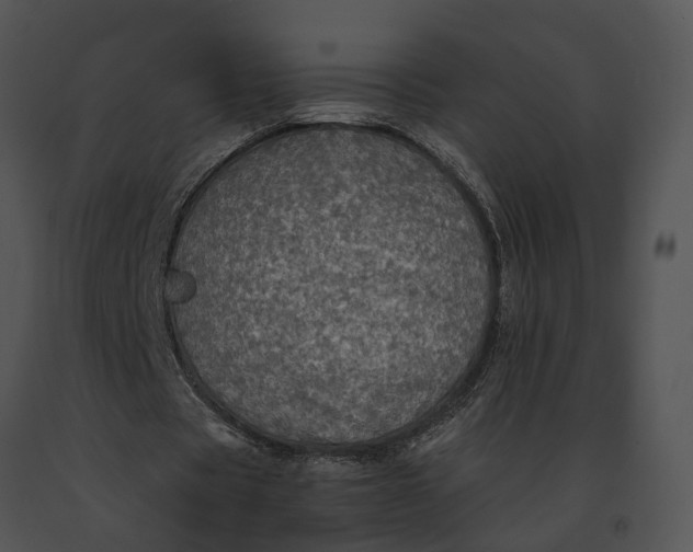 X0000091200529200708301602