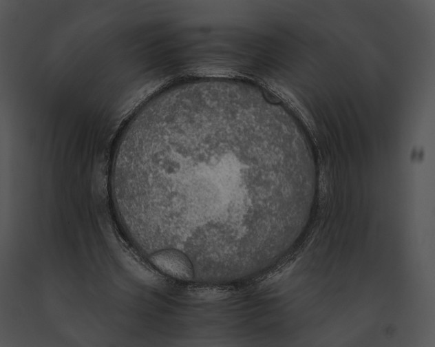 X0000091200533200708301602