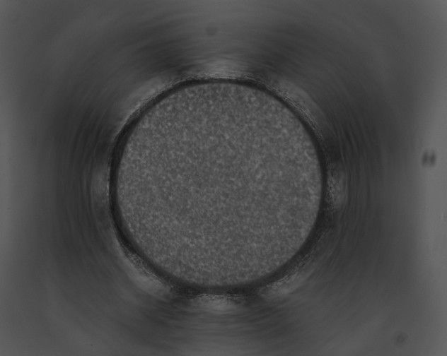 X0000091200534200708301602