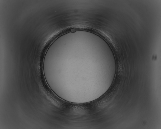 X0000091200535200708301602