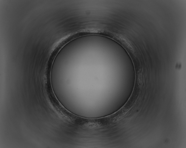 X0000091200536200708301602