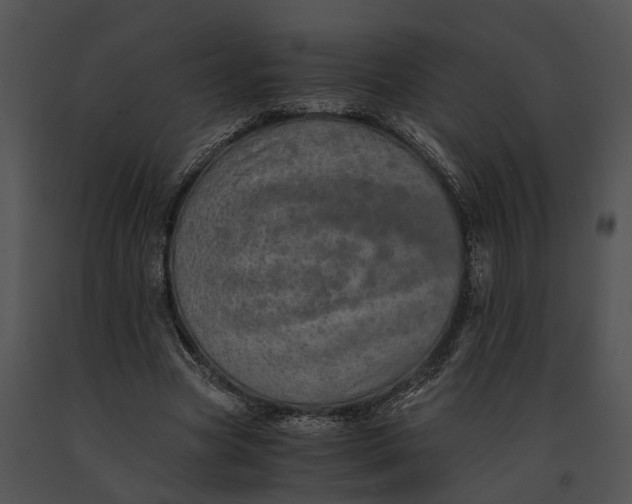 X0000091200537200708301602