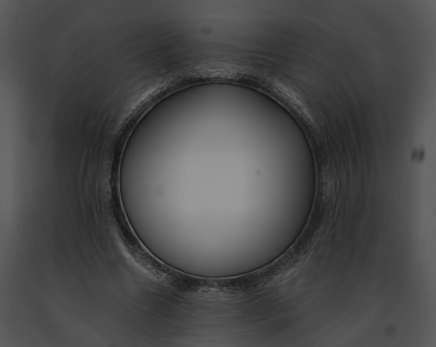 X0000091200538200708301602