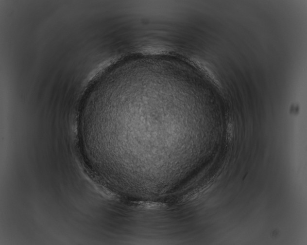 X0000091200539200708301602