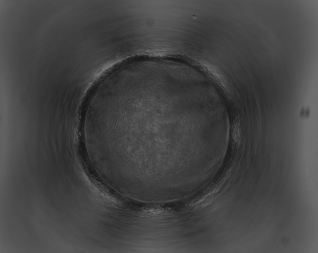 X0000091200540200708301602