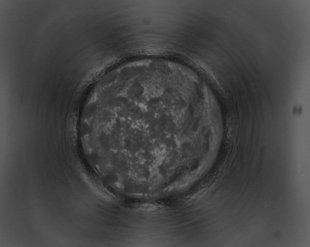 X0000091200542200708301602