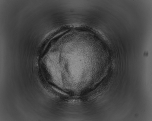 X0000091200543200708301602