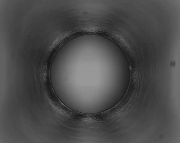 X0000091200544200708301602