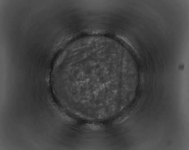 X0000091200545200708301602
