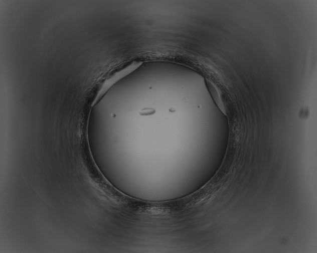 X0000091200546200708301602