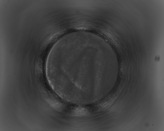 X0000091200547200708301602