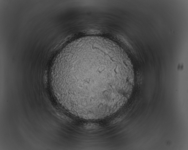 X0000091200549200708301602