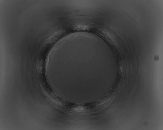 X0000091200551200708301602