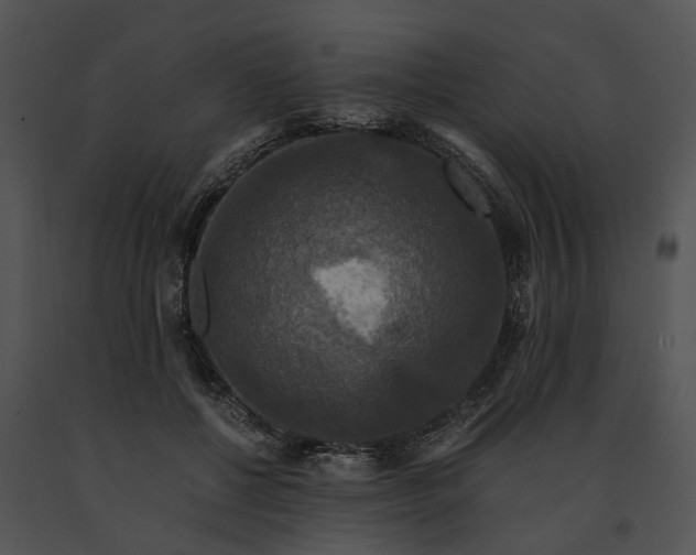 X0000091200552200708301602