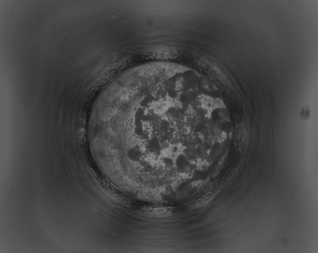 X0000091200553200708301602