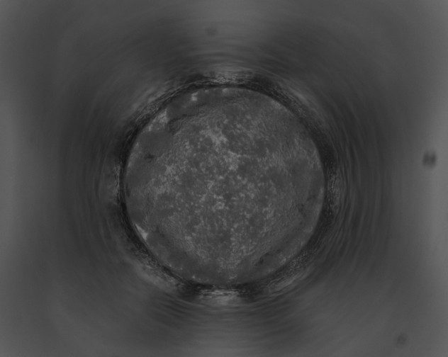 X0000091200554200708301602