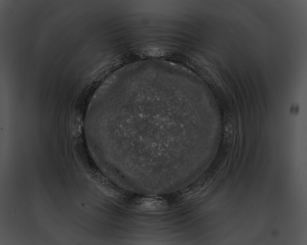 X0000091200555200708301602