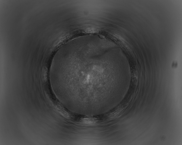 X0000091200556200708301602
