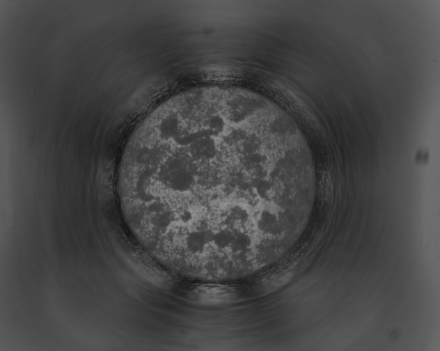 X0000091200557200708301602