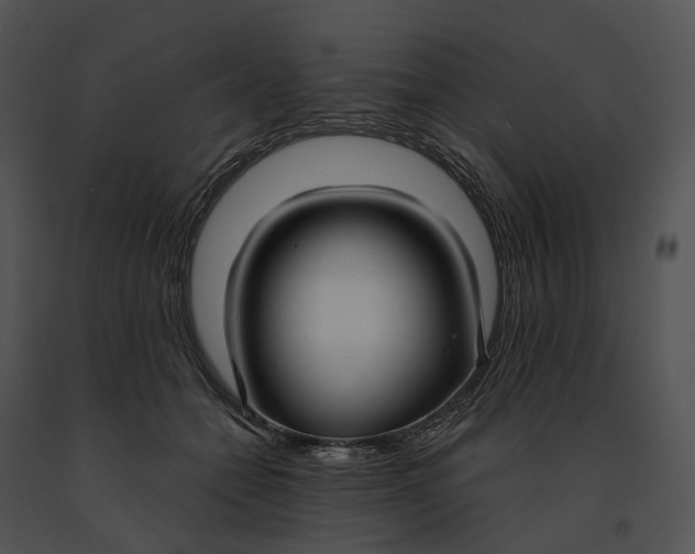 X0000091200558200708301602
