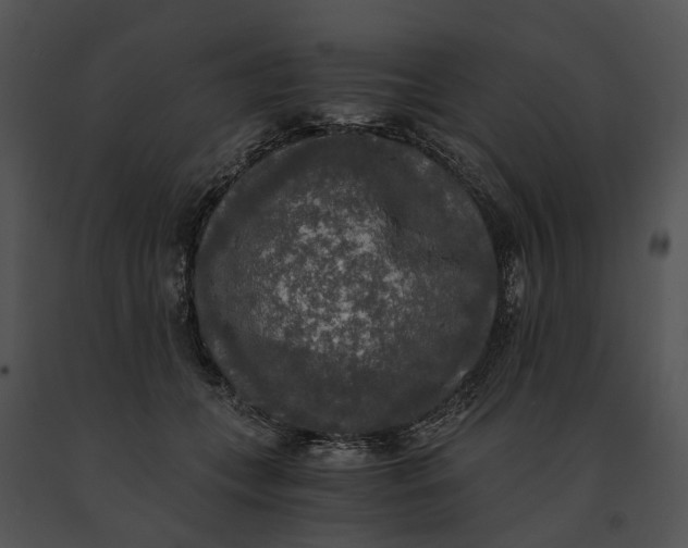 X0000091200559200708301602