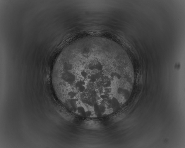 X0000091200561200708301602