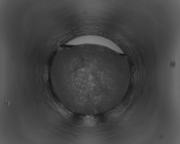 X0000091200562200708301602