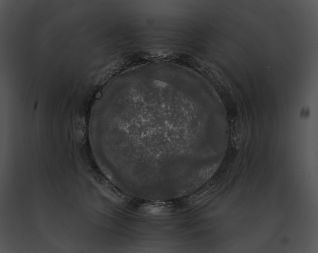 X0000091200563200708301602