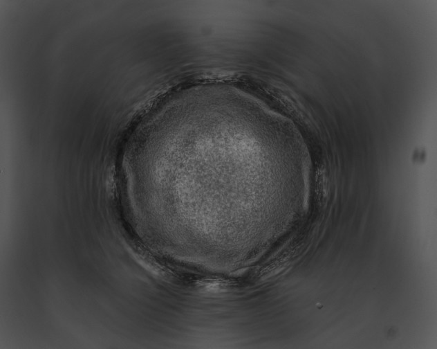 X0000091200564200708301602