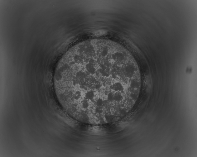 X0000091200565200708301602