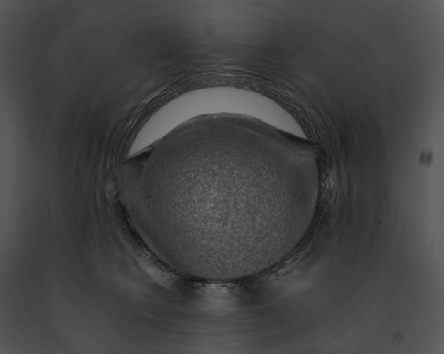 X0000091200566200708301602