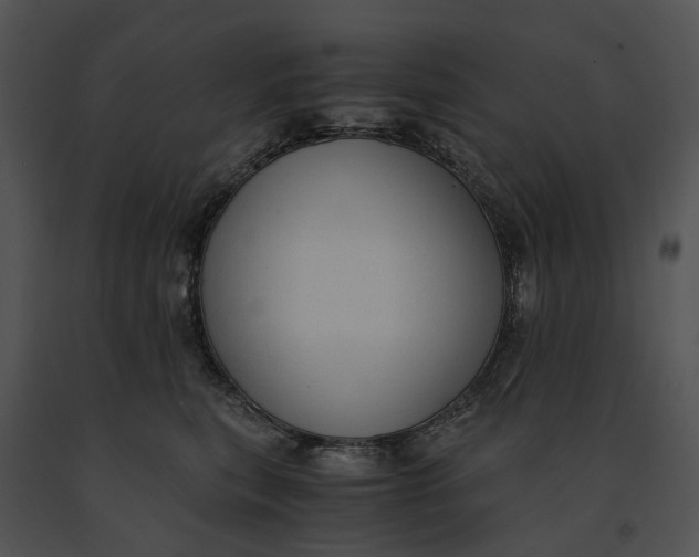 X0000091200567200708301602
