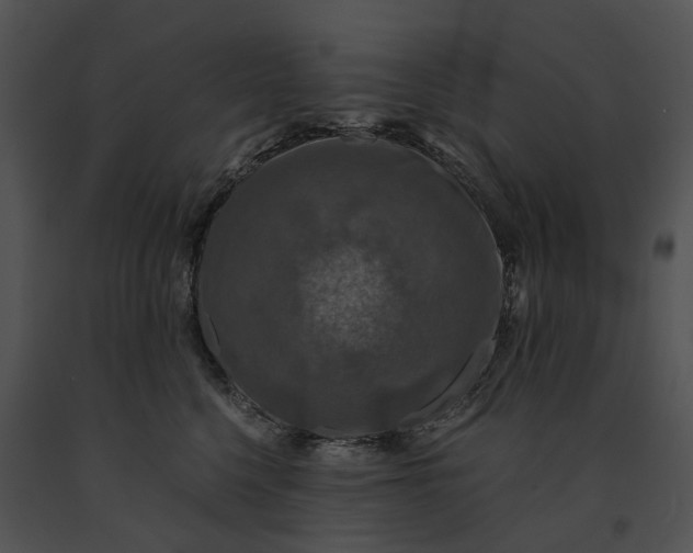 X0000091200568200708301602