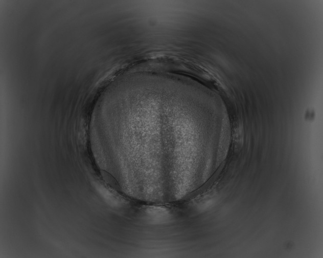 X0000091200572200708301602