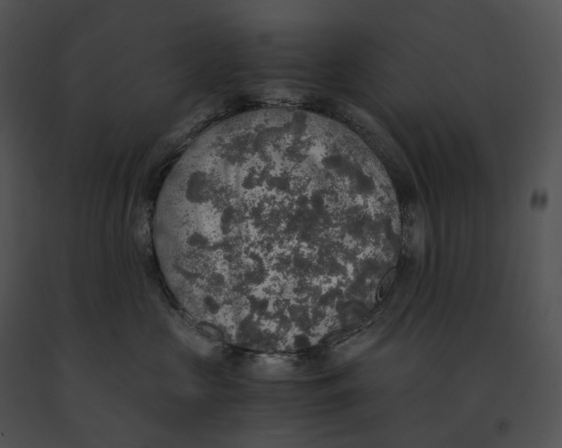 X0000091200573200708301602